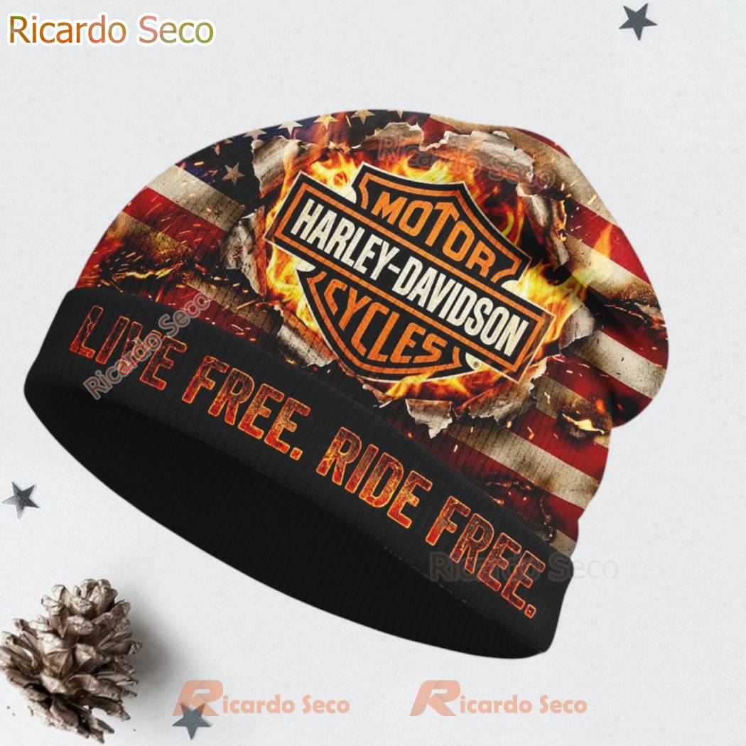 Harley-Davidson Motor Cycles Beanie Hat-b d9RvlTH