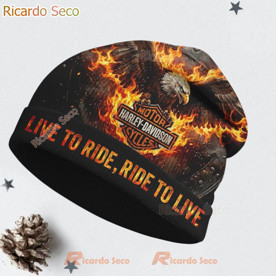 Harley-Davidson Motor Cycles Beanie Hat-c rQLNxMk